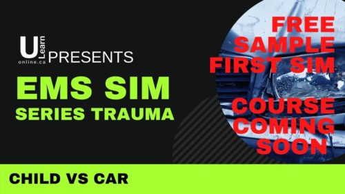 Sample EMS SIM SERIES  – Child versus car.