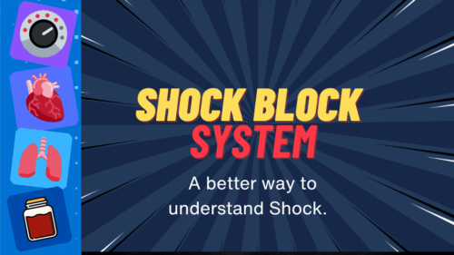 Paramedics and EMTs Understand Shock Better with Shock Blocks